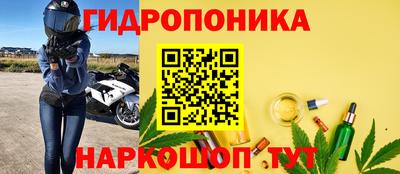 шишки Изобильный