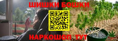 шишки Изобильный
