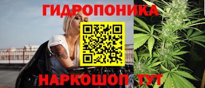 mdma Канаш