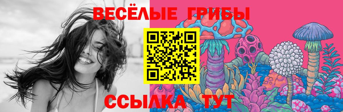 Кудымкар  Галлюциногенные грибы Magic Shrooms  Вход с VPN 